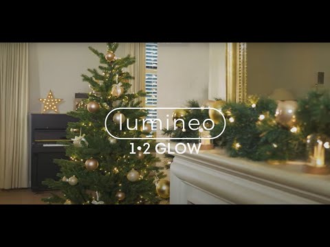 Lumineo Cluster-Lichterkette Outdoor 768 LEDs 6m warmweiß (494692) ab 34,99  €