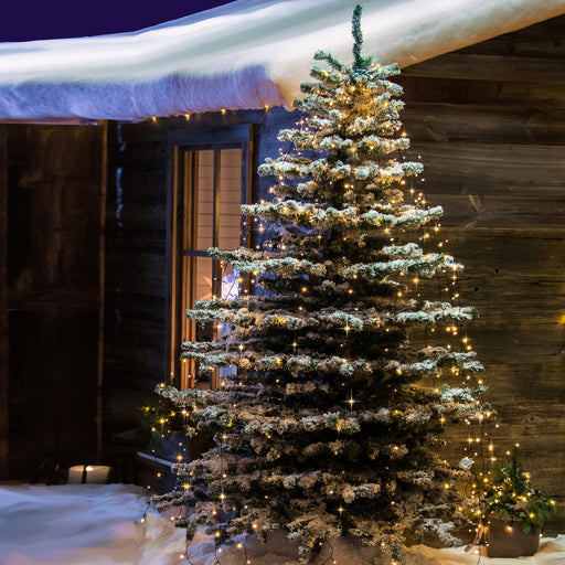 Lichterketten Weihnachtsbaum ▷ welche Kette für welchen Baum?